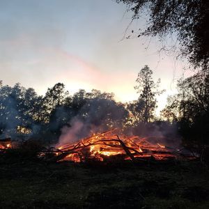 Meet your Posher, Dillon